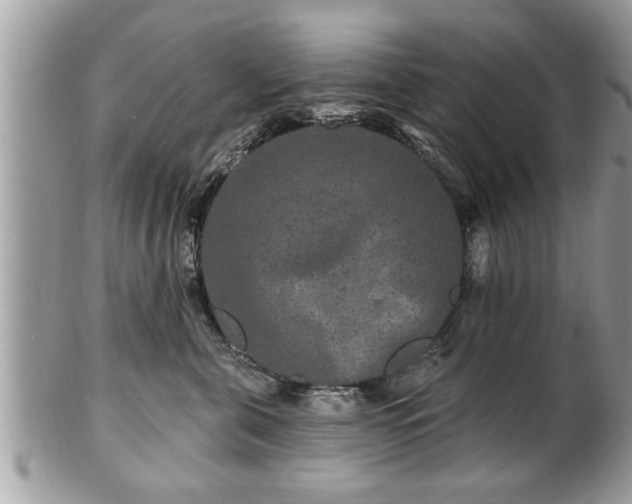 X0000100970571200807011423