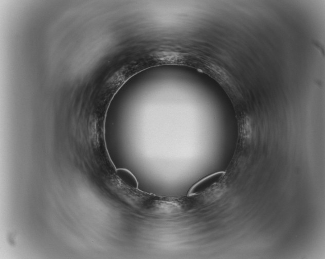 X0000100970572200807011423