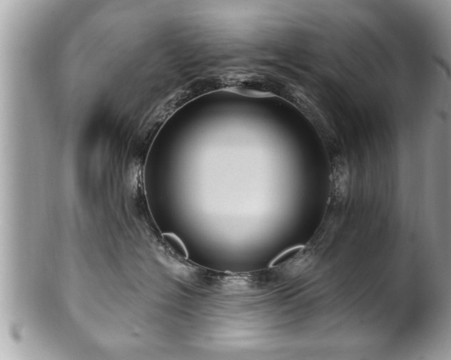 X0000100970574200807011423