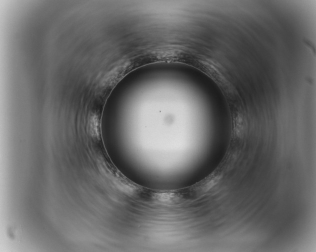 X0000100970575200807011423