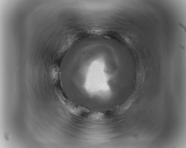 X0000100970576200807011423