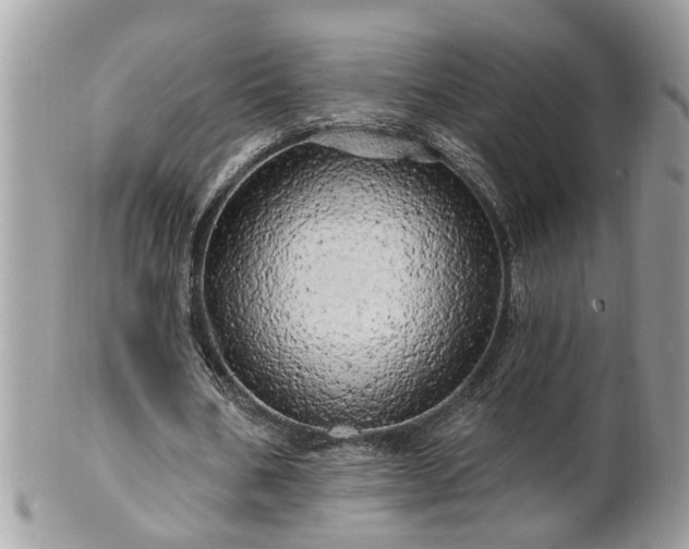 X0000100970578200807011422