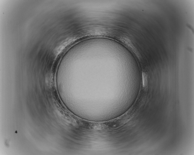 X0000100970579200807011422