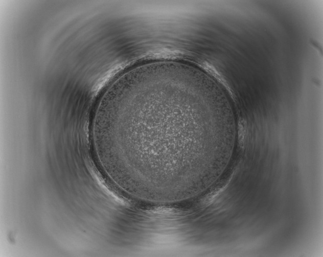 X0000100970581200807011422