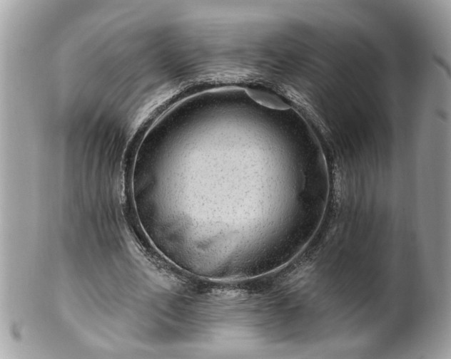 X0000100970582200807011422