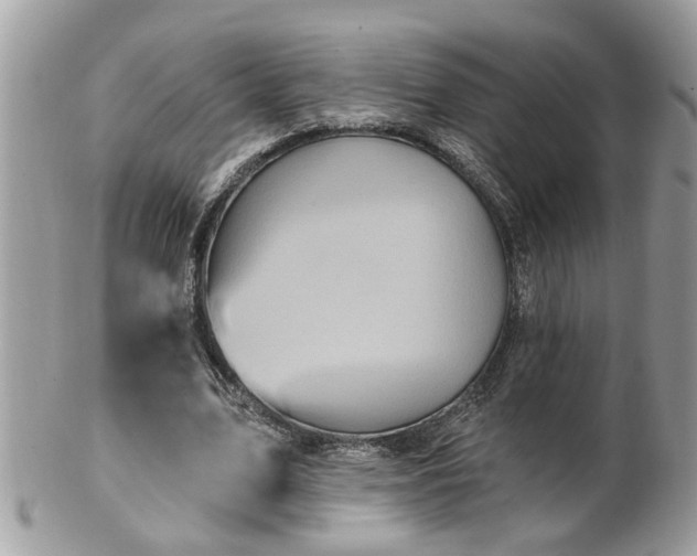 X0000100970583200807011422