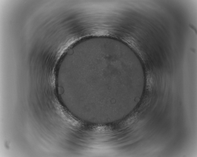 X0000100970584200807011422