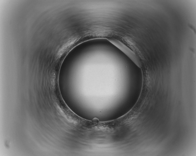 X0000100970586200807011422