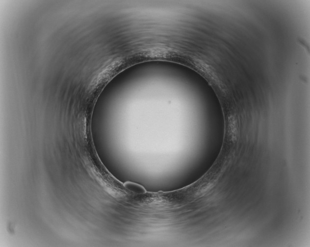X0000100970589200807011422