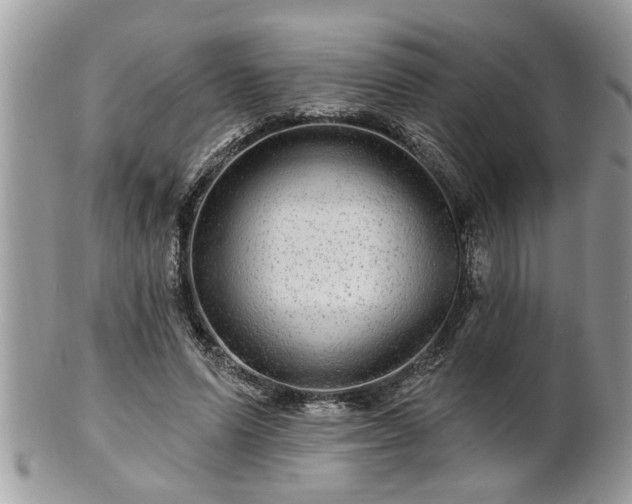 X0000100970591200807011422