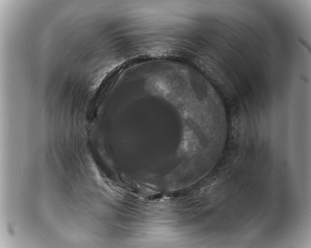 X0000100970592200807011422