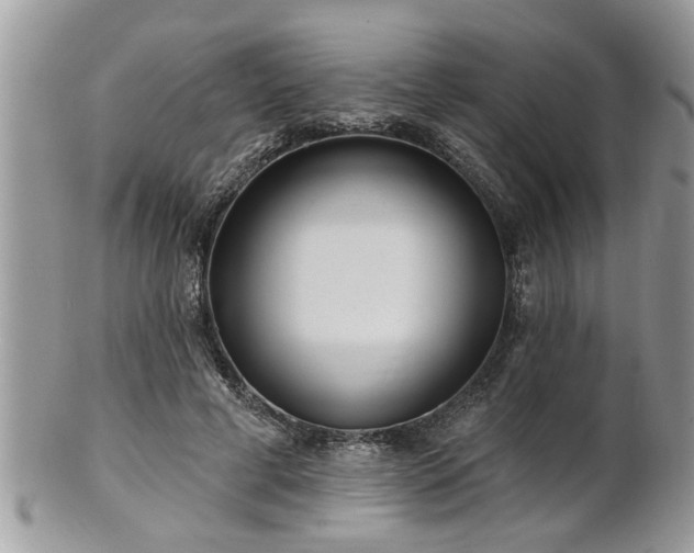 X0000100970593200807011422