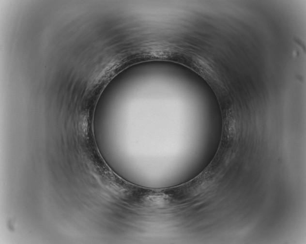 X0000100970595200807011422