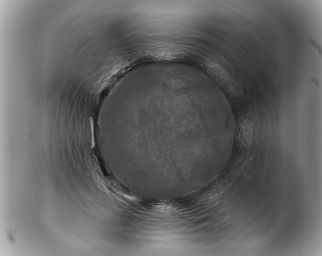 X0000100970596200807011422