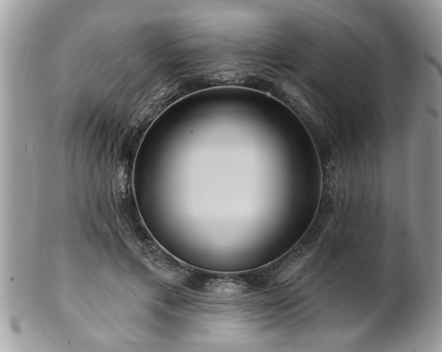 X0000100970597200807011422