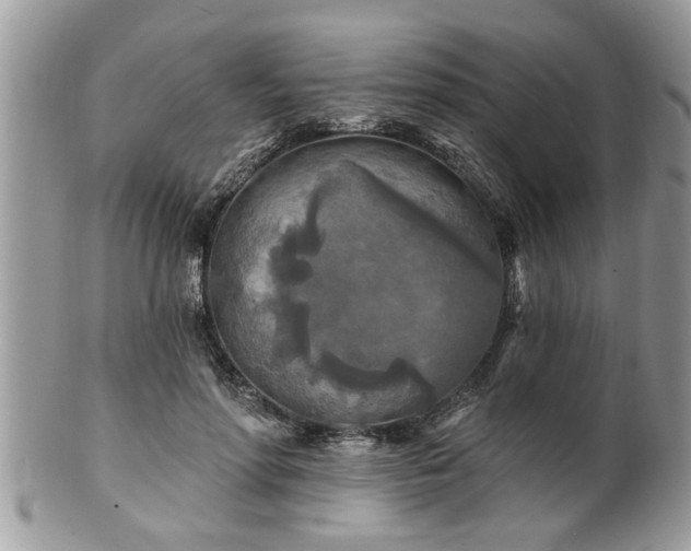X0000100970598200807011422