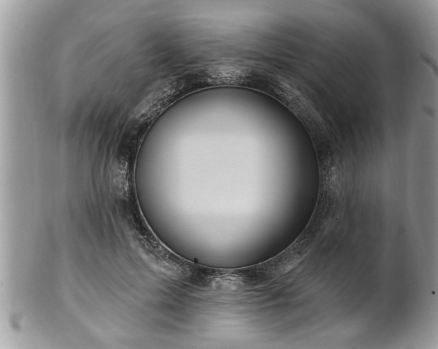X0000100970599200807011422
