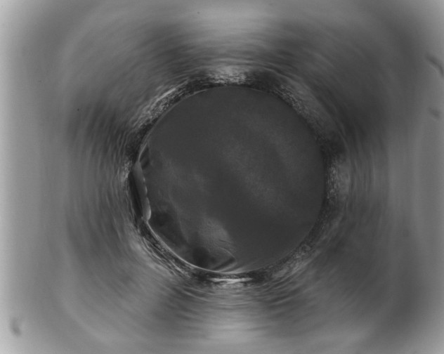 X0000100970600200807011422