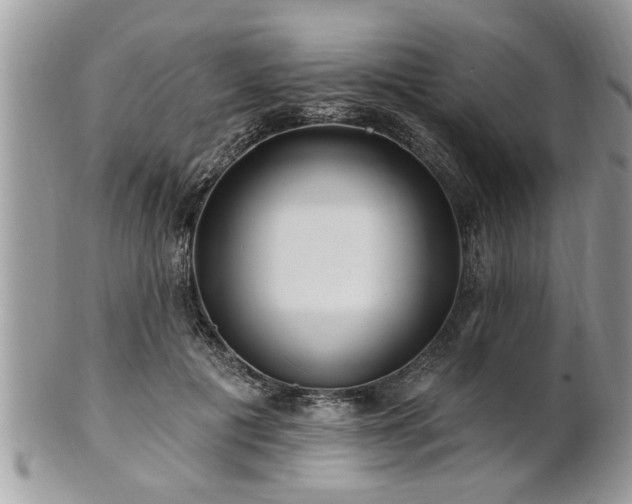 X0000100970601200807011422
