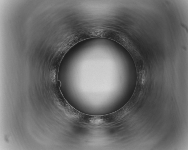 X0000100970602200807011422