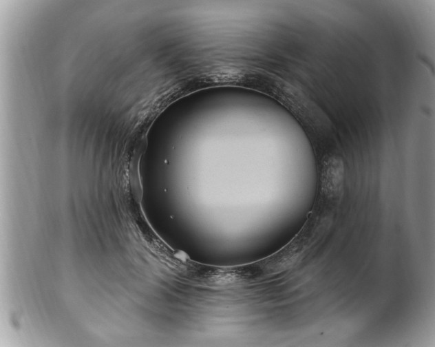 X0000100970604200807011422