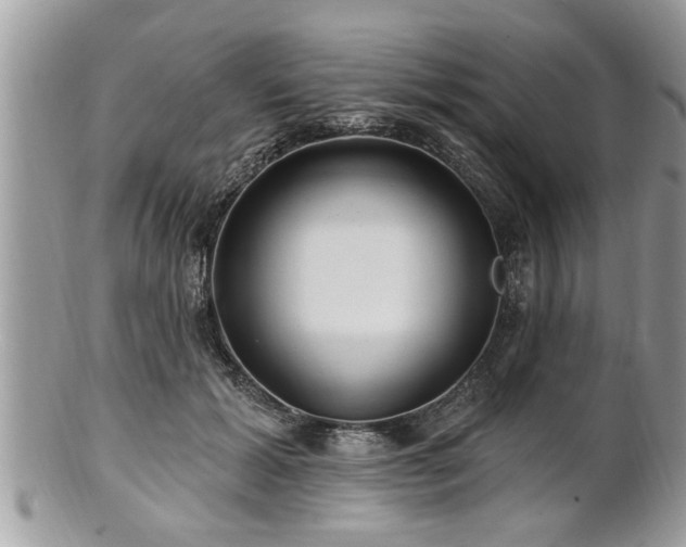 X0000100970605200807011422