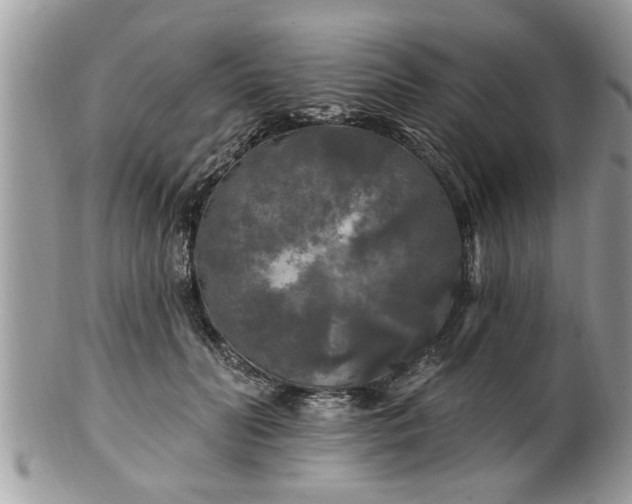 X0000100970606200807011422