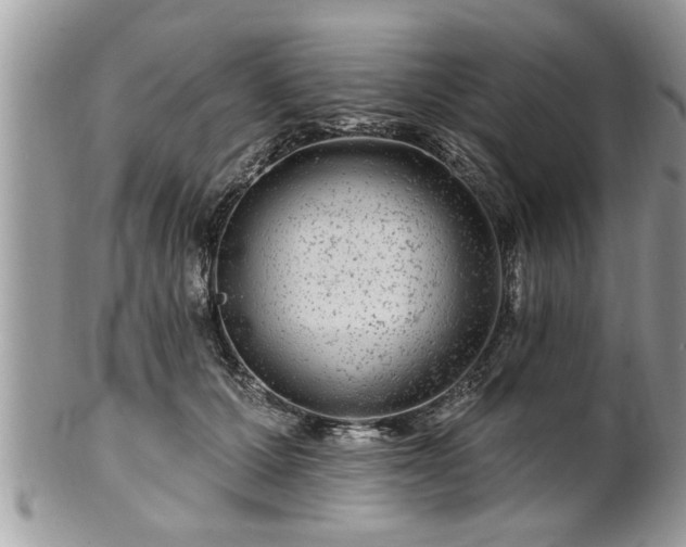 X0000100970607200807011422