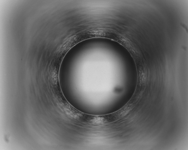 X0000100970609200807011422