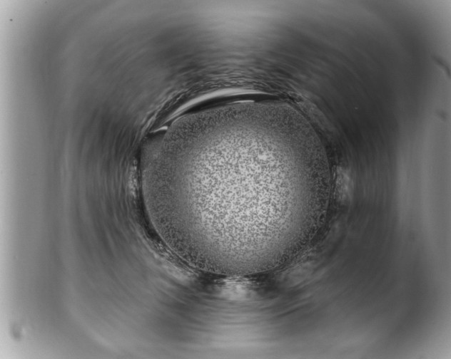 X0000100970612200807011422
