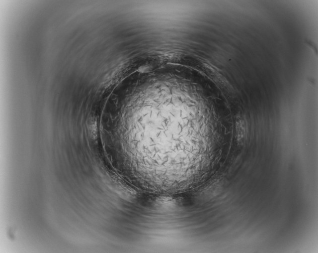 X0000100970613200807011422