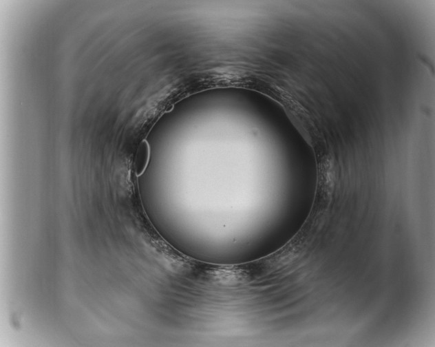 X0000100970615200807011422