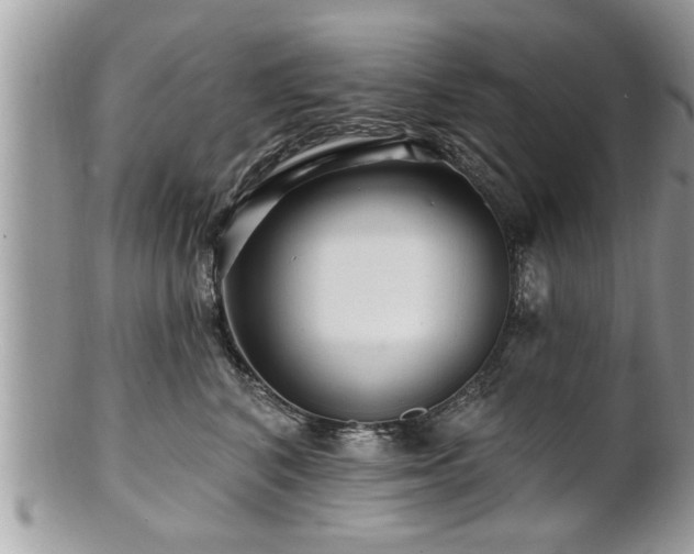X0000100970616200807011422