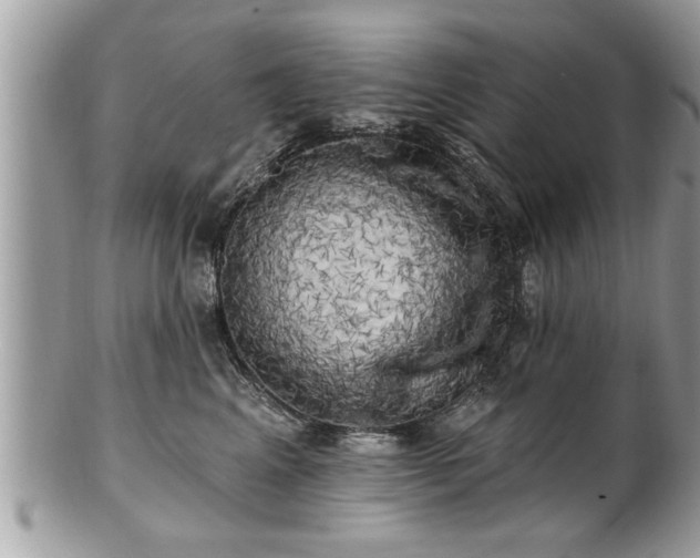 X0000100970617200807011422