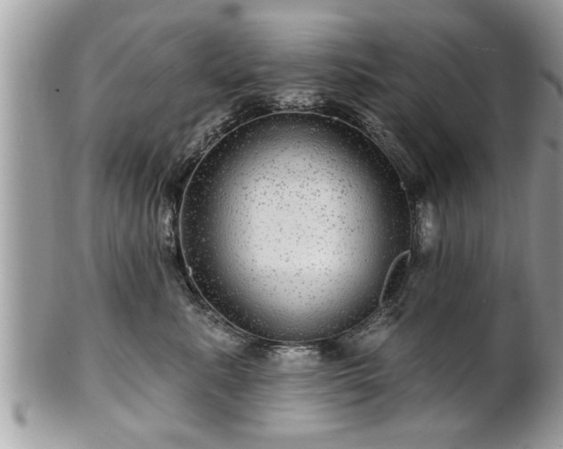 X0000100970619200807011422