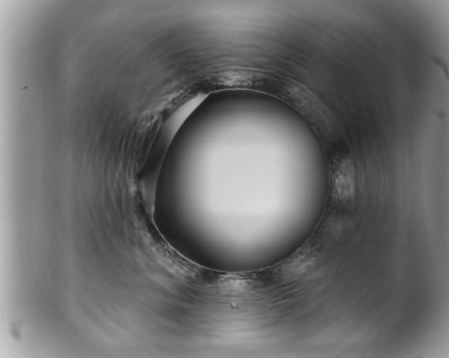 X0000100970620200807011422