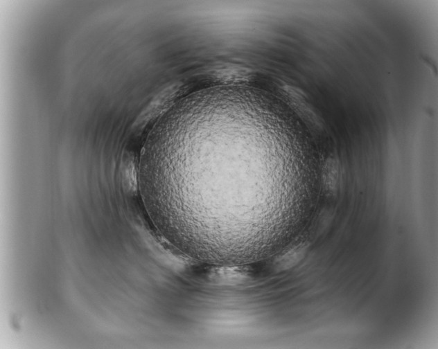 X0000100970622200807011422