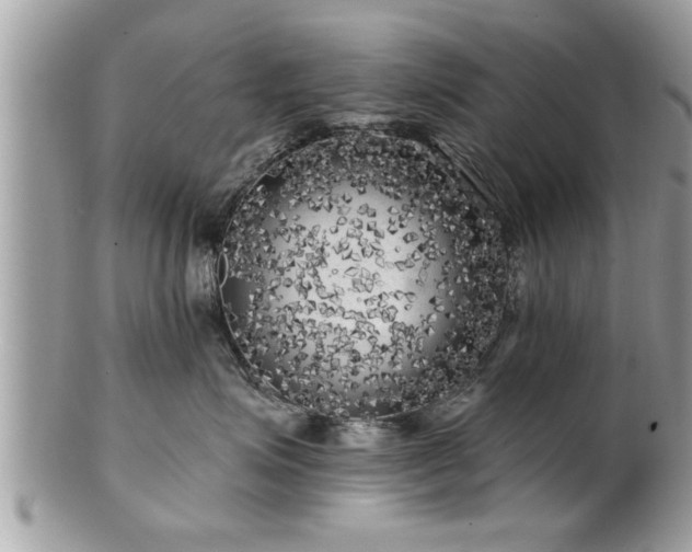 X0000100970623200807011422