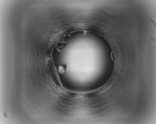 X0000100970624200807011422