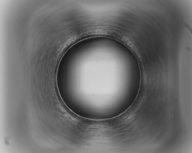 X0000100970625200807011421
