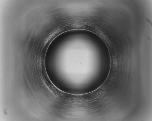 X0000100970626200807011421