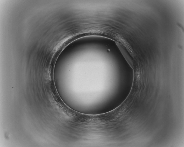 X0000100970628200807011421