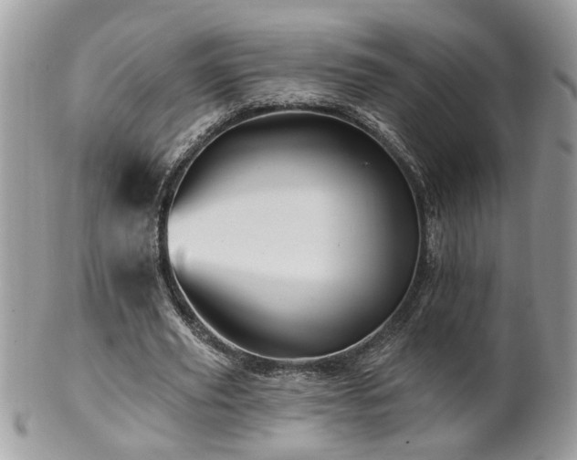 X0000100970629200807011421