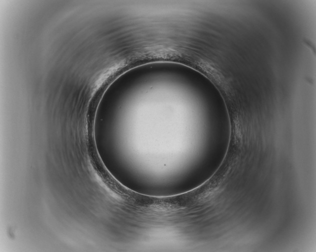 X0000100970630200807011421