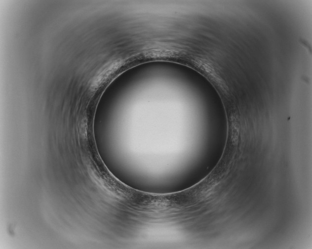 X0000100970631200807011421