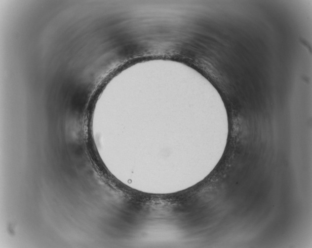 X0000100970632200807011421