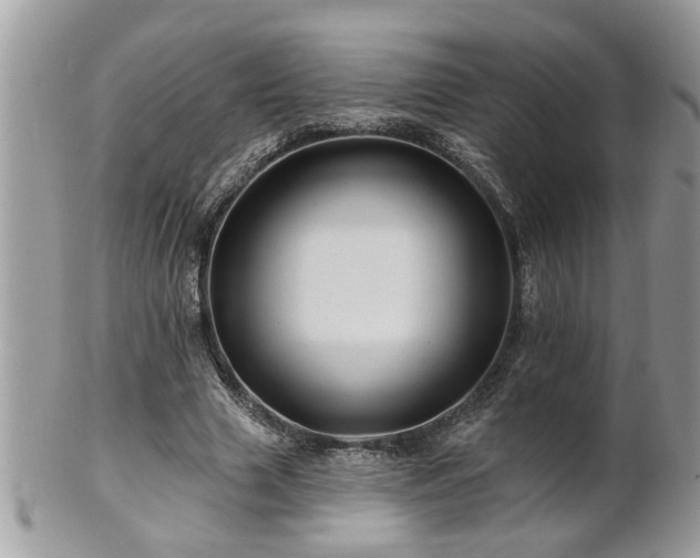 X0000100970633200807011421