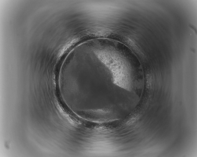 X0000100970634200807011421