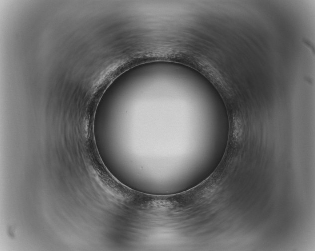 X0000100970636200807011421