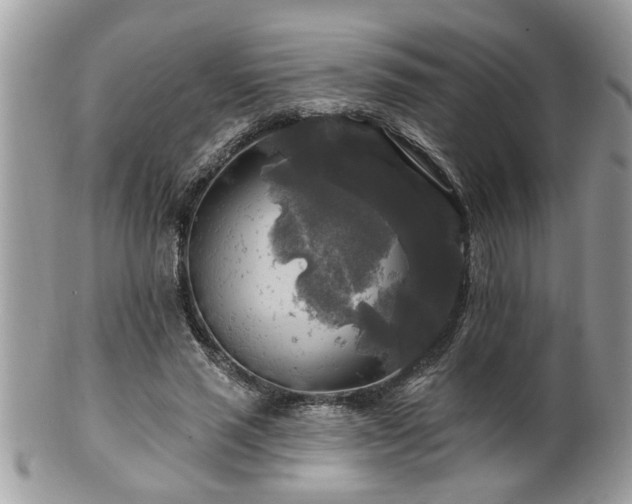 X0000100970637200807011421